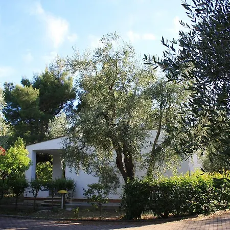 Villaggio Turistico Delfino 3*