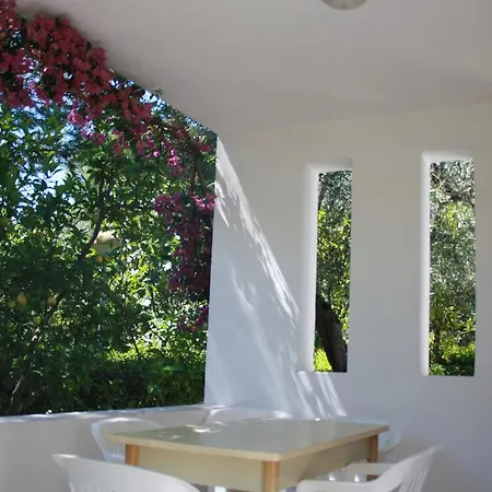 Villaggio Turistico Delfino 3*