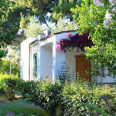 Villaggio Turistico Delfino Vieste