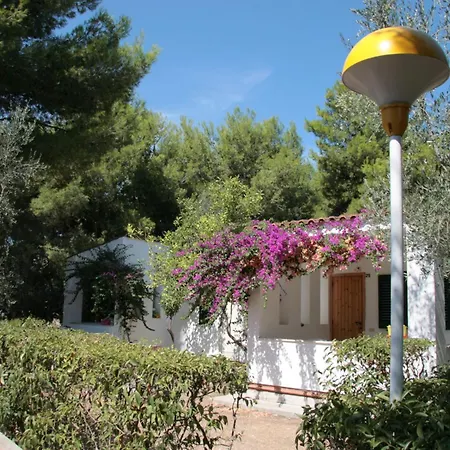 Villaggio Turistico Delfino 3*