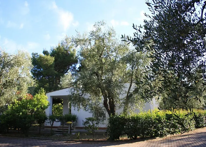 Villaggio Turistico Delfino 3*