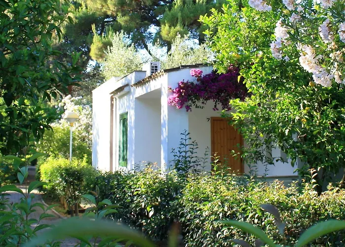 Villaggio Turistico Delfino Vieste