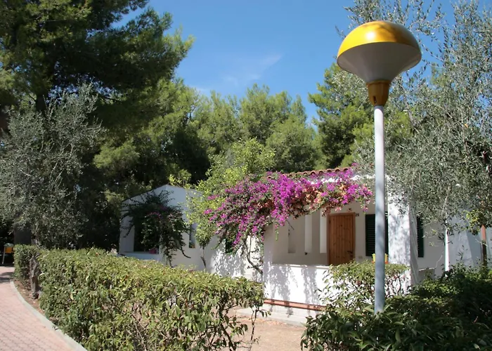 Villaggio Turistico Delfino 3*