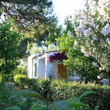Villaggio Turistico Delfino Aldeamento Turístico